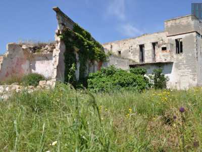 Nonostante l�edificio sia disabitato da decenni, il luogo per� non � assolutamente privo di vita. All�ombra degli ulivi, la vegetazione da anni cresce senza alcun controllo e ha chiaramente preso il sopravvento